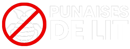 Punaises Paris